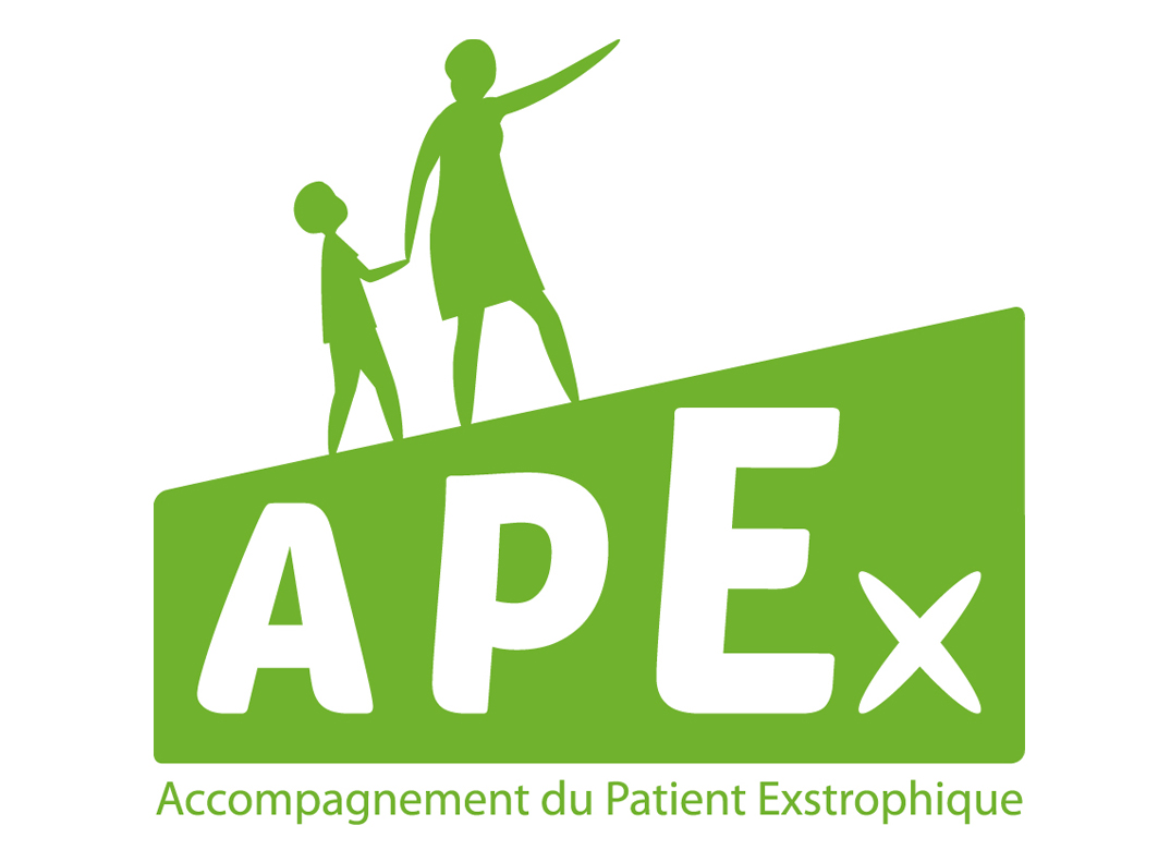 Nouveau logo et plaquette pour l’association APEX