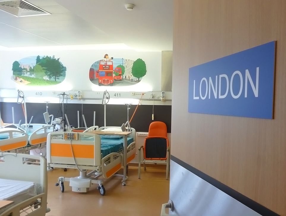 Institut d’Hématologie et d’Oncologie Pédiatrique – Lyon