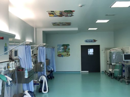 Hospices Civils de Lyon – Hôpital Femme Mère Enfant – Bron